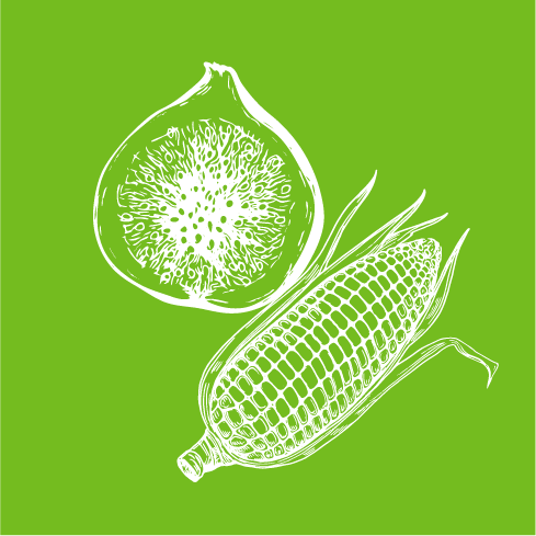 FRUTAS Y VEGETALES