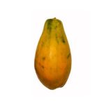 LECHOSA