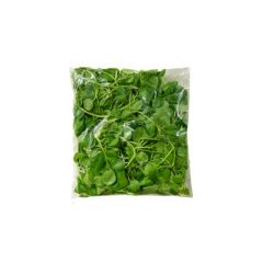 BERRO BE NATURAL HIDROPONICO 100G