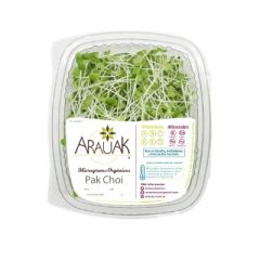 PAK CHOI ARAUAK MICROGREENS 50G