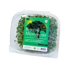 BROCOLI ARAUAK MICROGREENS 50G
