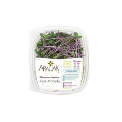 KALE MORADO ARAUAK MICROGREENS 50G