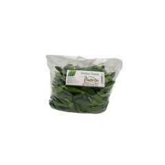 PIMIENTOS DE PADRON HORTALIZAS PREMIUM 500G