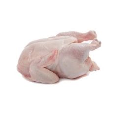 GALLINA_ENTERA
