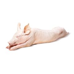 LECHON ENTERO