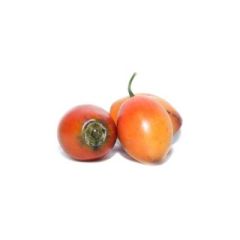 TOMATE_DE_ARBOL