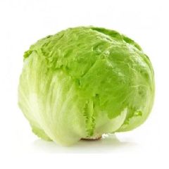 LECHUGA AMERICANA X KG                  