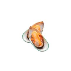 MEJILLONES CON CONCHA X KG