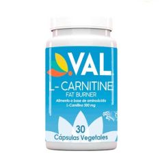 L- CARNITINE VAL 500MG X 30CAP          